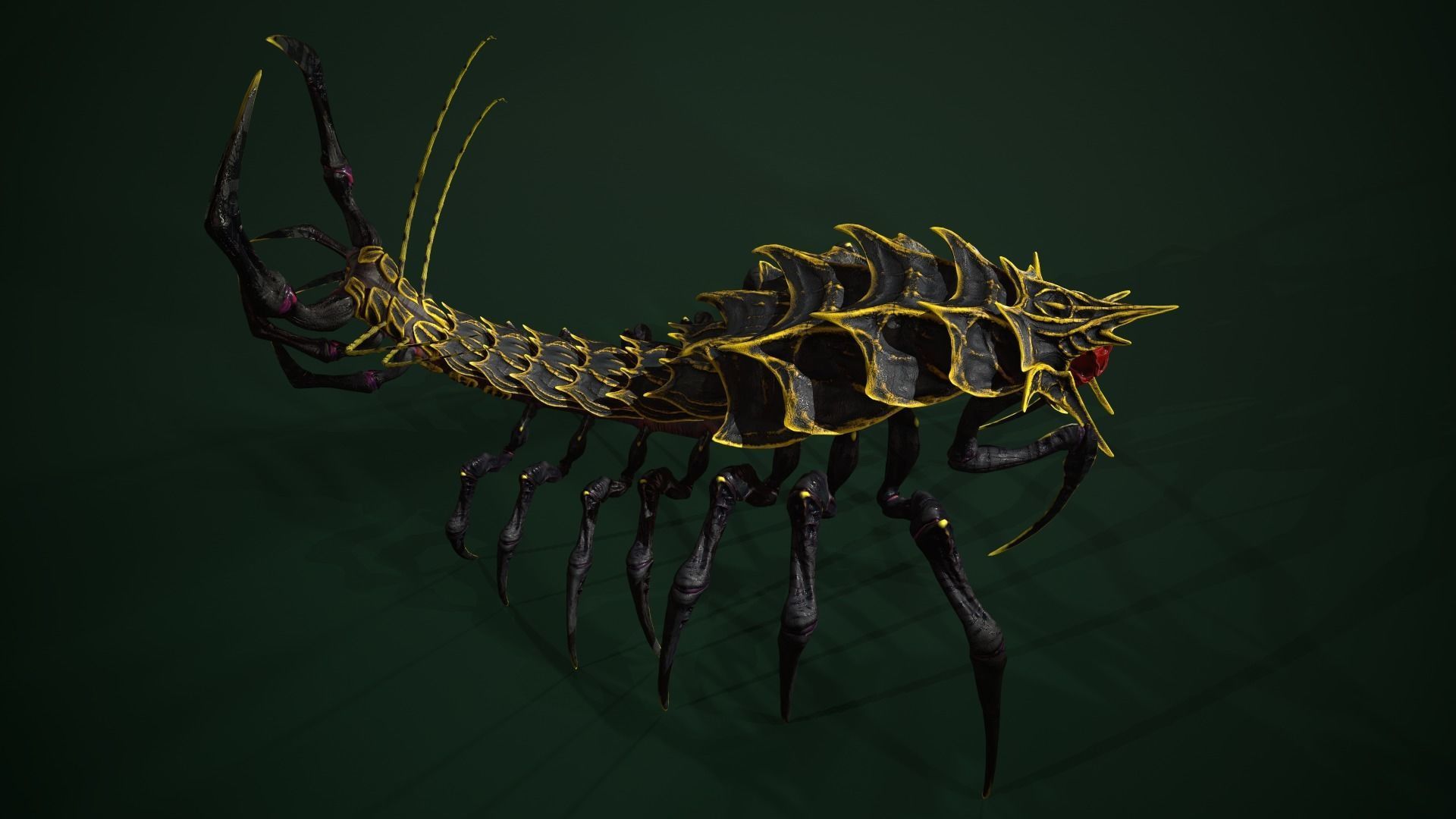 Centipede scull Low-poly 3D model_14