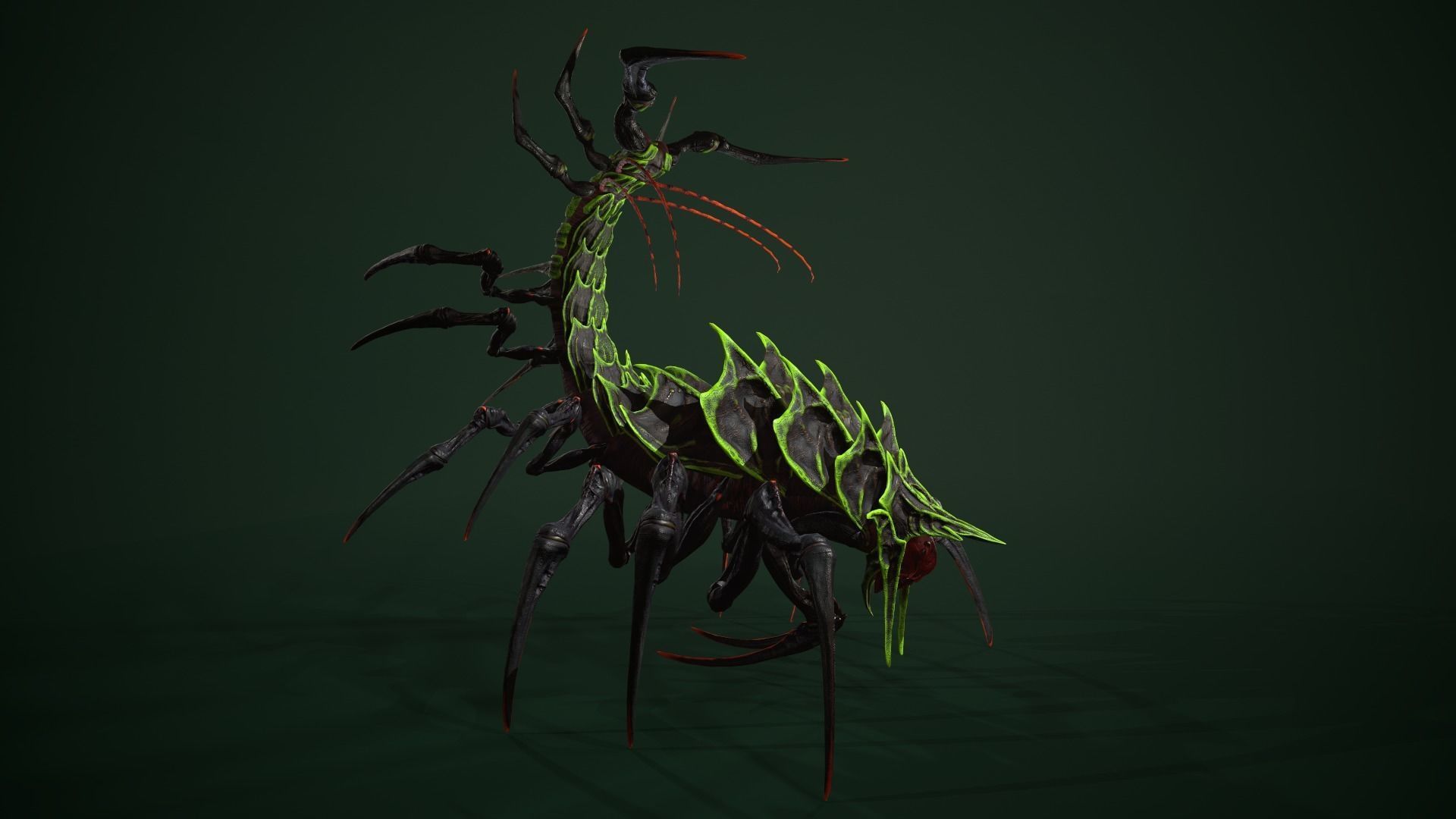 Centipede scull Low-poly 3D model_16