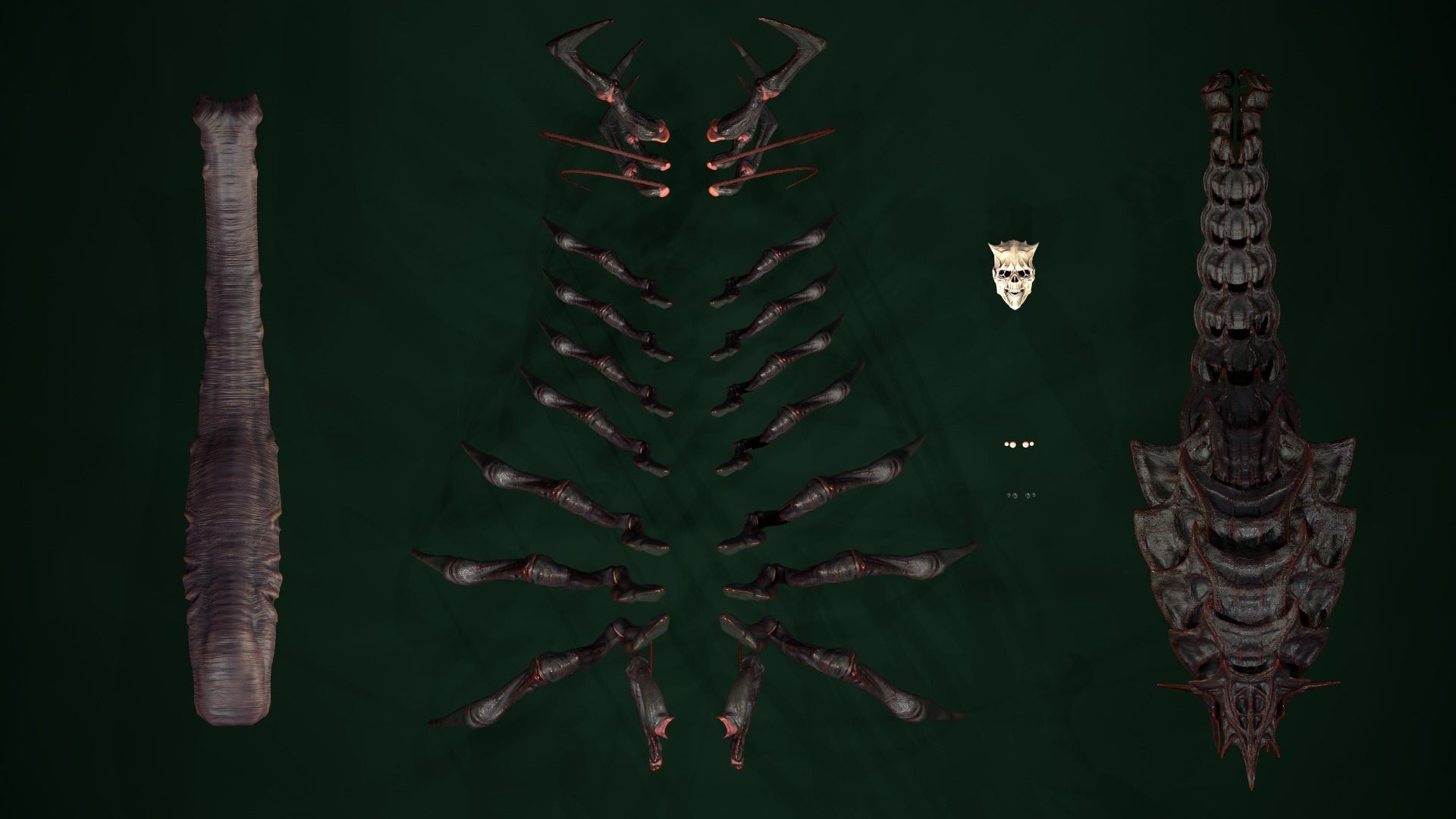 Centipede scull Low-poly 3D model_23