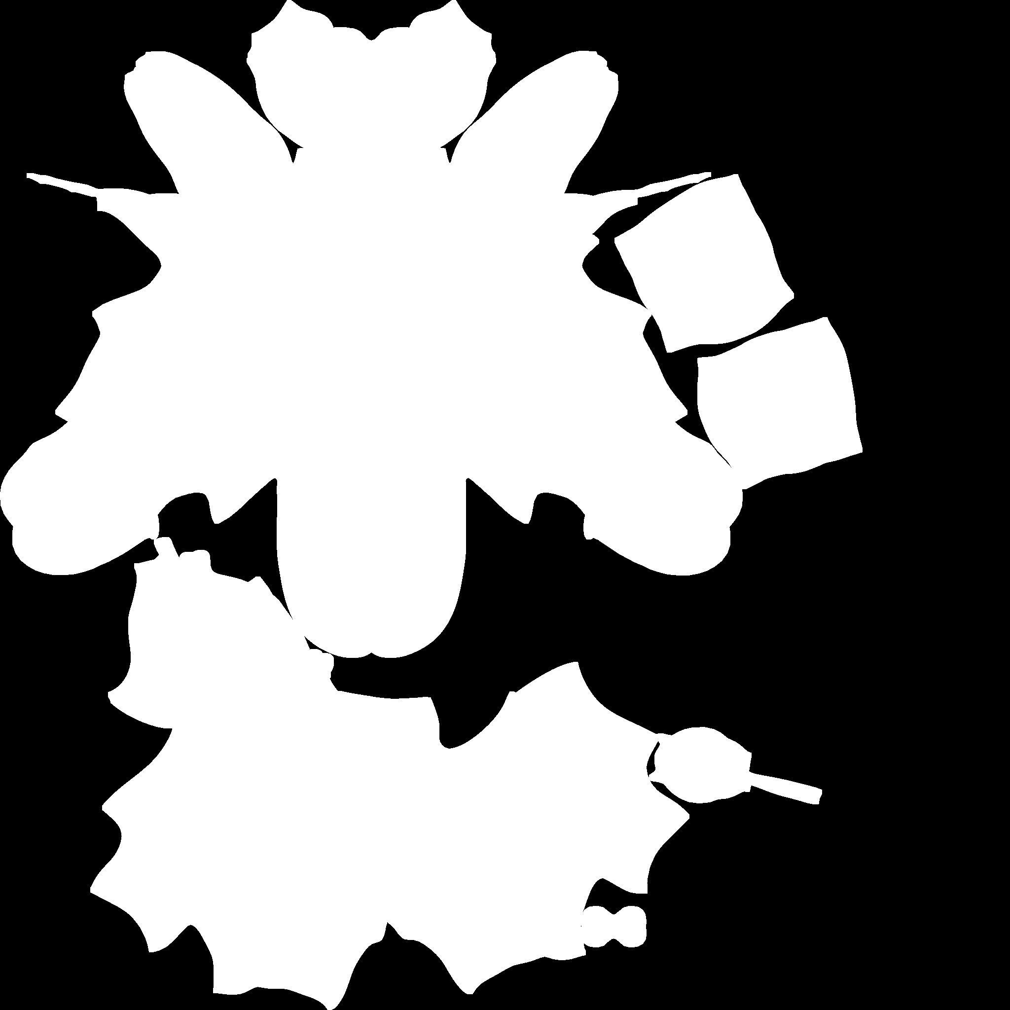 raccoon on a skateboard 3D model_5