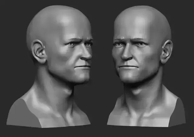 Manly Man Bust
