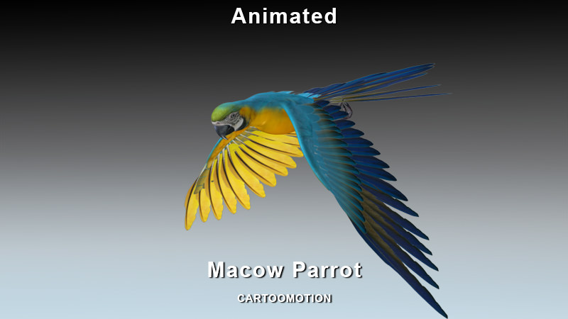 Blue Macaw Parrot Low-poly 3D model_3