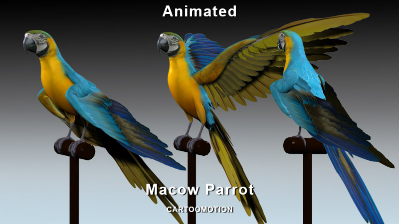 Blue Macaw Parrot Low-poly 3D model_4