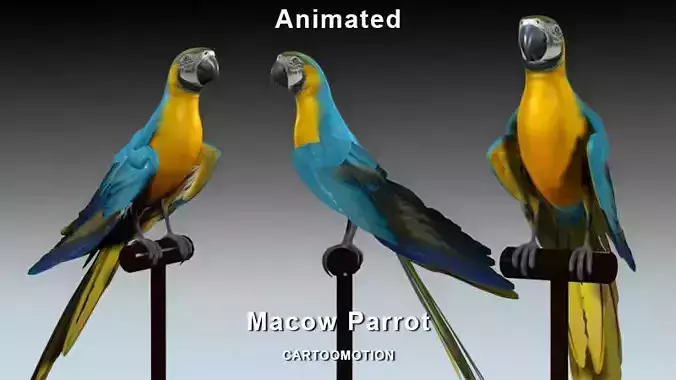 Blue Macaw Parrot Low-poly 3D model