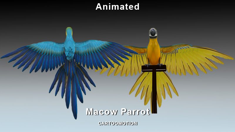 Blue Macaw Parrot Low-poly 3D model_2