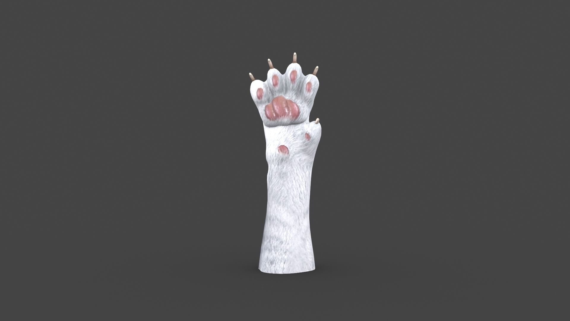 HAND-022 Cat Low-poly 3D model_3