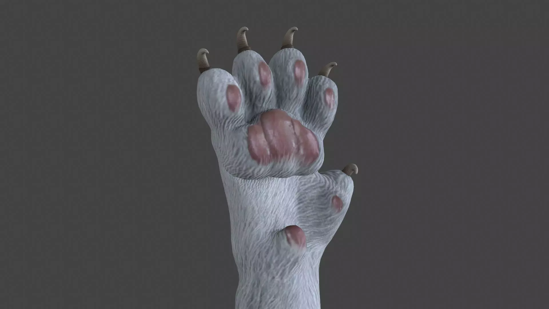 HAND-022 Cat Low-poly 3D model_0