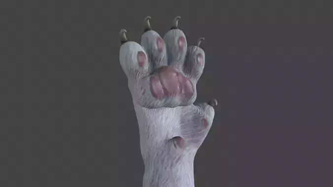 HAND-022 Cat