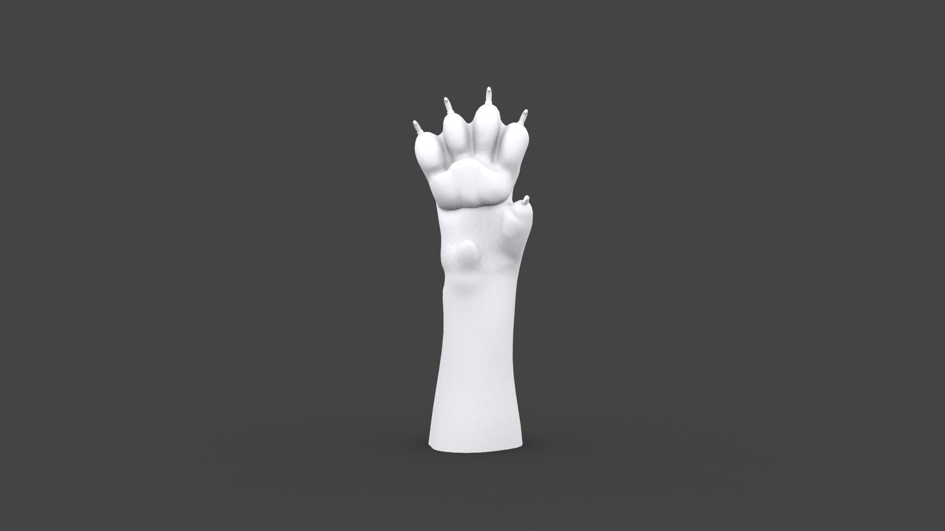 HAND-022 Cat Low-poly 3D model_4