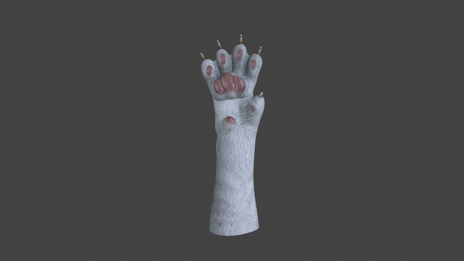 HAND-022 Cat Low-poly 3D model_2