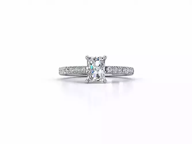 ZDR093 princess cut diamond engagement ring 3D print model