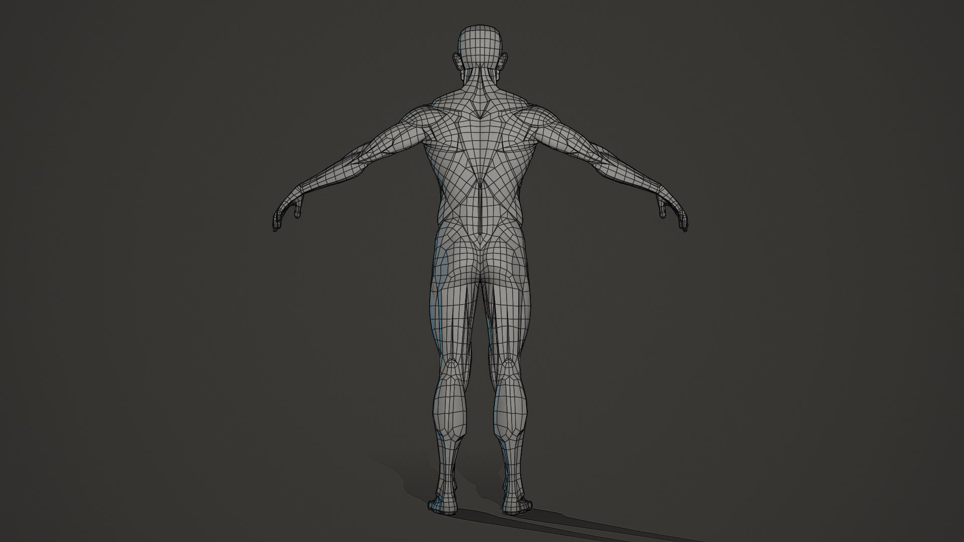 Character - Male Planar Anatomy Body Base Low-poly 3D model_14