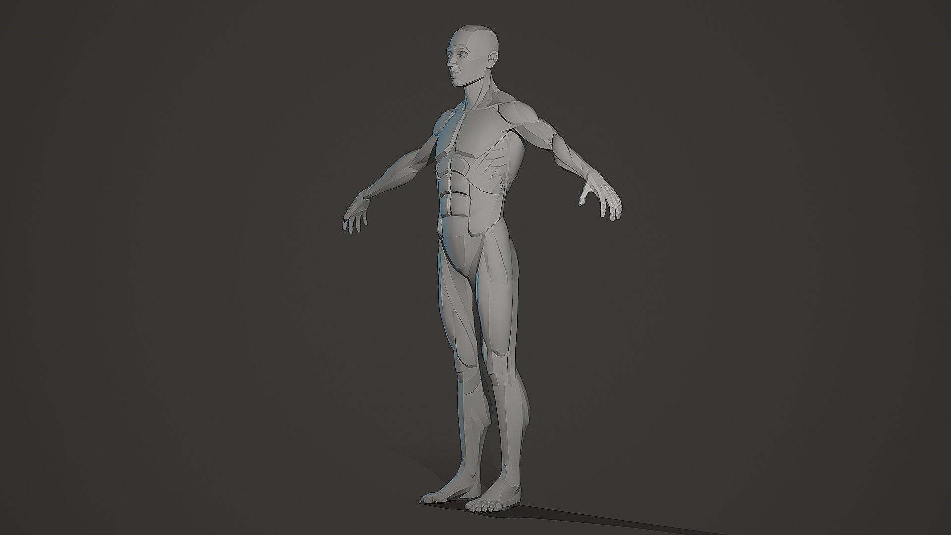 Character - Male Planar Anatomy Body Base Low-poly 3D model_9