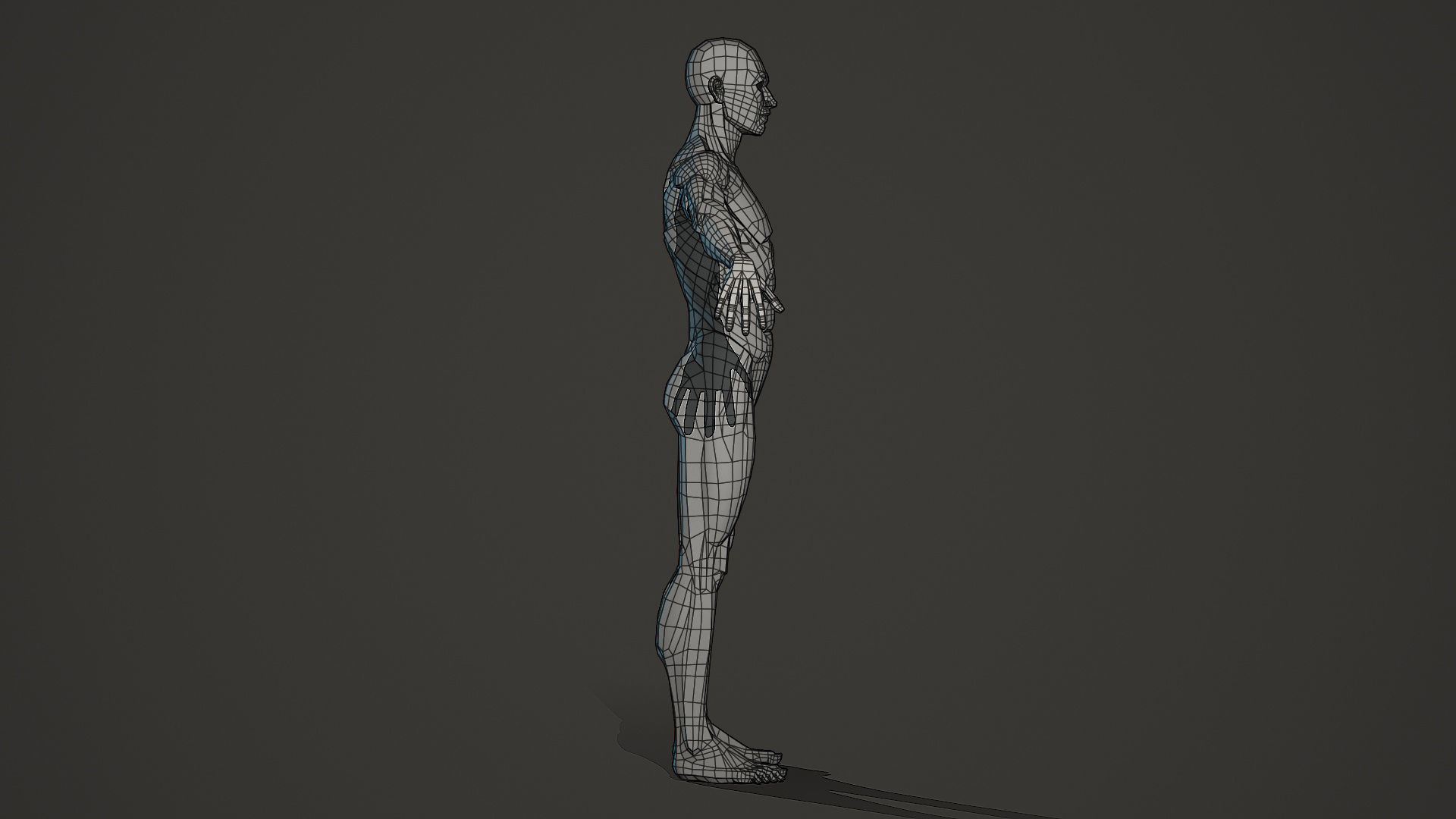 Character - Male Planar Anatomy Body Base Low-poly 3D model_12