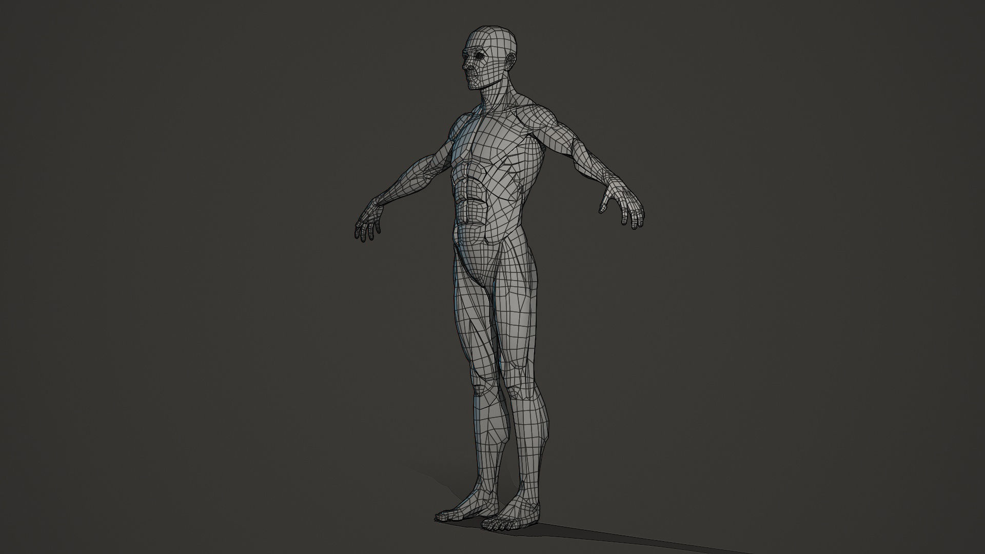 Character - Male Planar Anatomy Body Base Low-poly 3D model_17