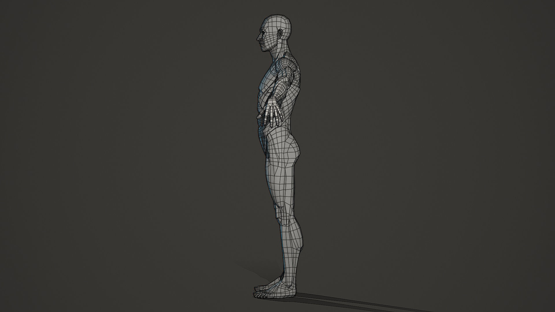 Character - Male Planar Anatomy Body Base Low-poly 3D model_16
