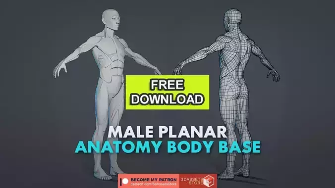 Character - Male Planar Anatomy Body Base Low-poly 3D model