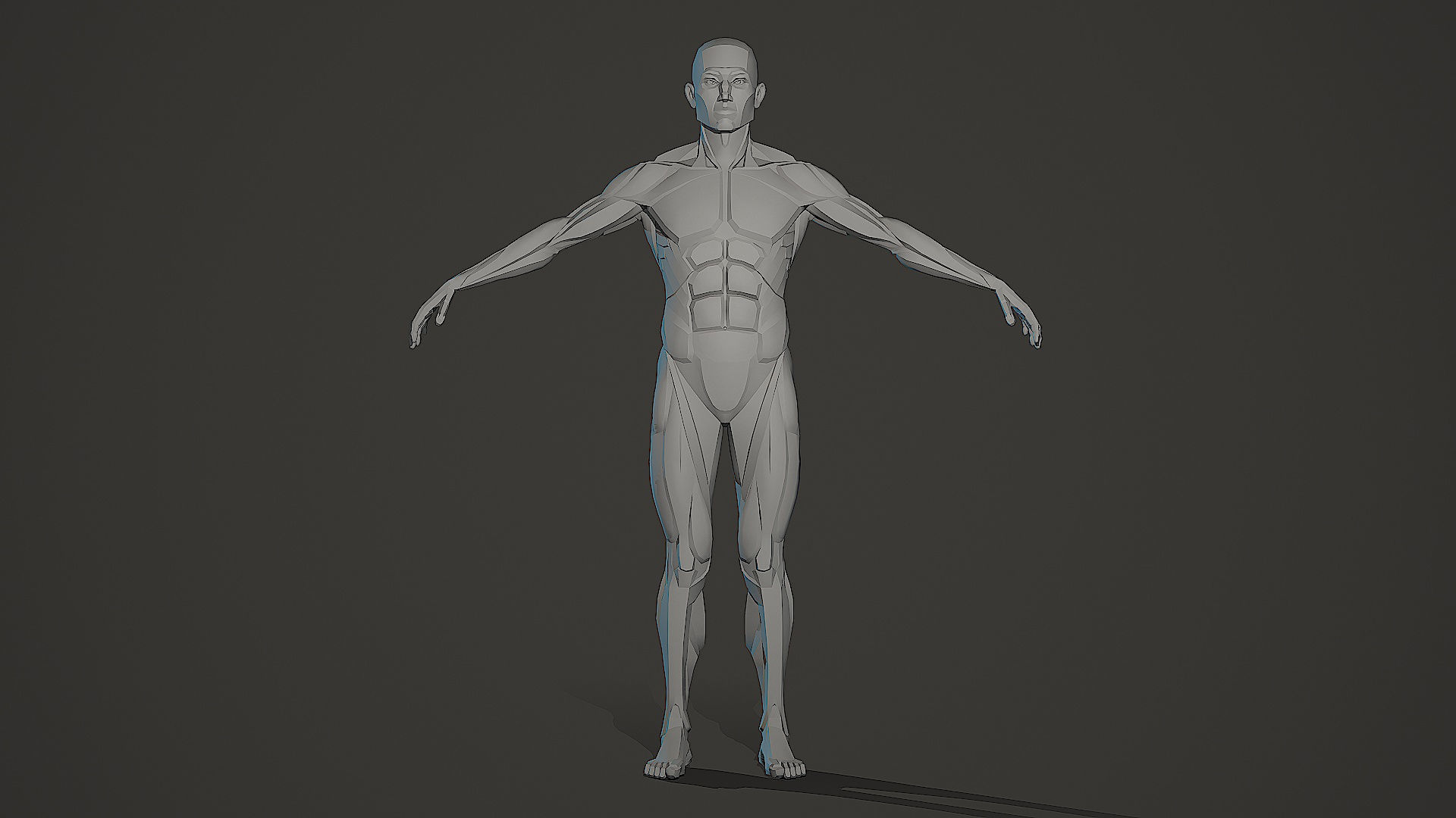 Character - Male Planar Anatomy Body Base Low-poly 3D model_2