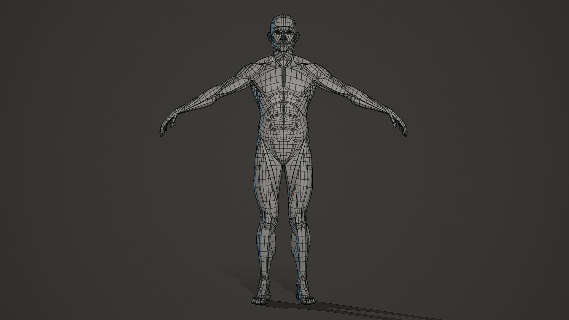 Character - Male Planar Anatomy Body Base Low-poly 3D model_10