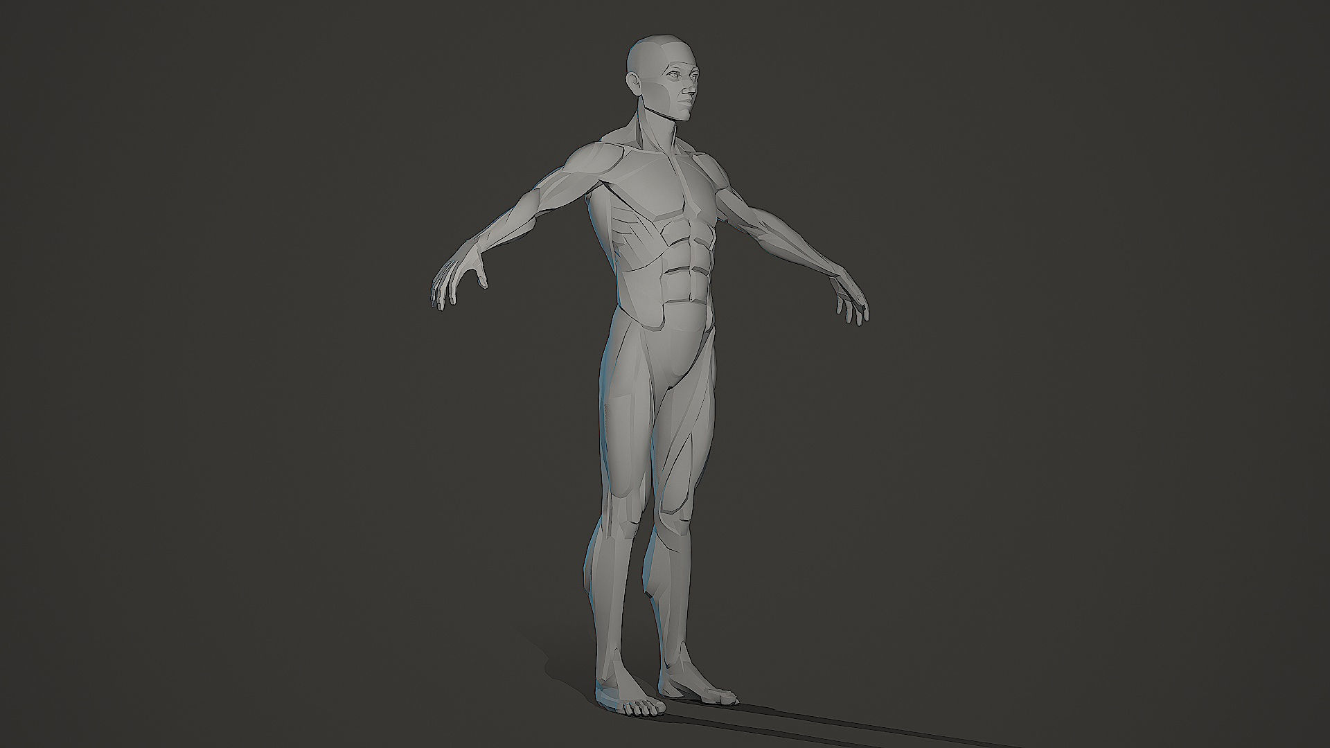 Character - Male Planar Anatomy Body Base Low-poly 3D model_3