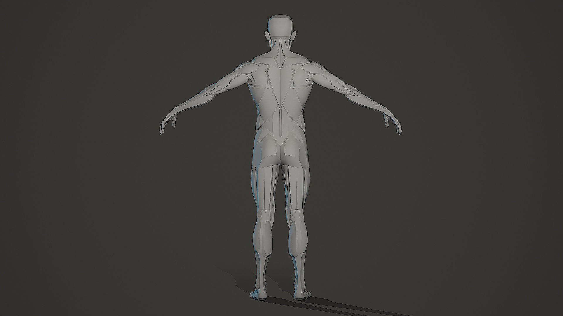 Character - Male Planar Anatomy Body Base Low-poly 3D model_6