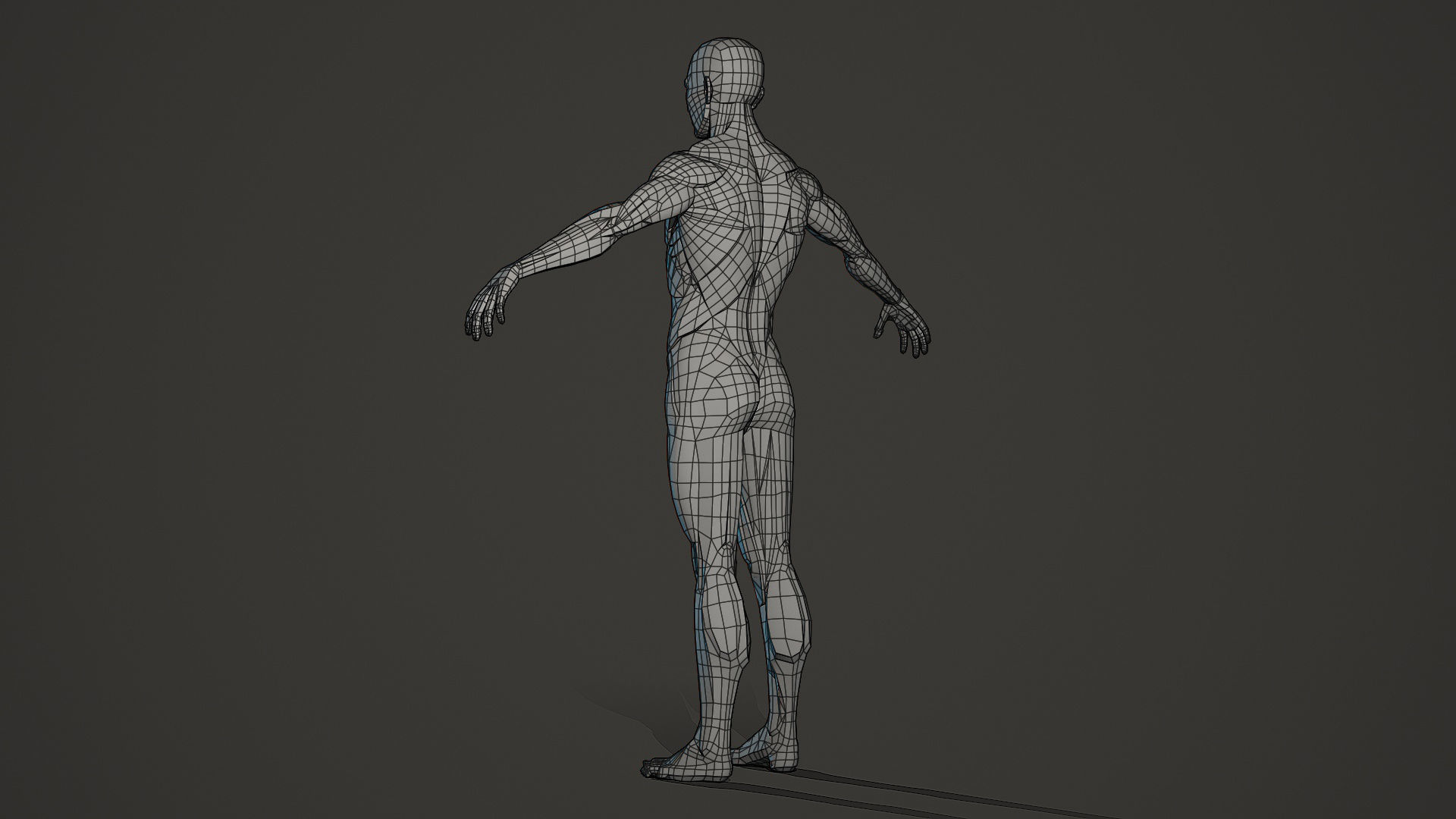 Character - Male Planar Anatomy Body Base Low-poly 3D model_15
