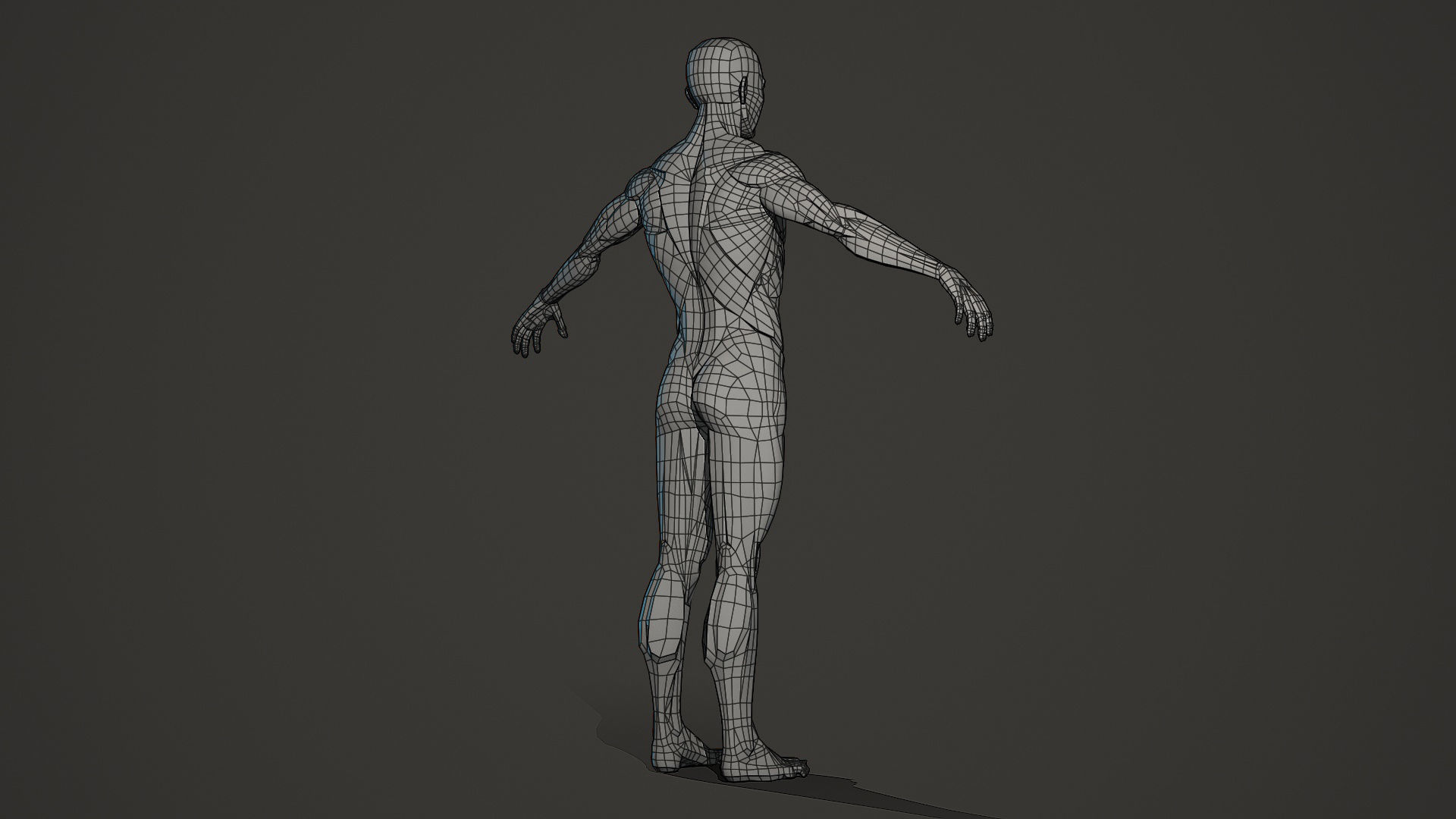Character - Male Planar Anatomy Body Base Low-poly 3D model_13