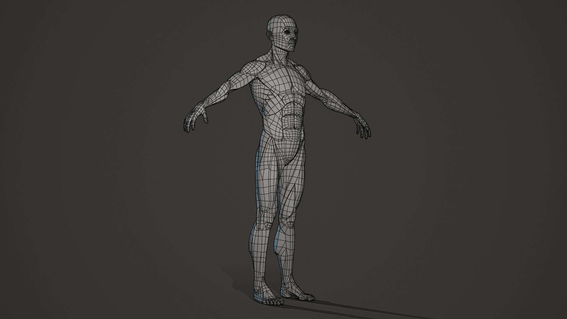 Character - Male Planar Anatomy Body Base Low-poly 3D model_11