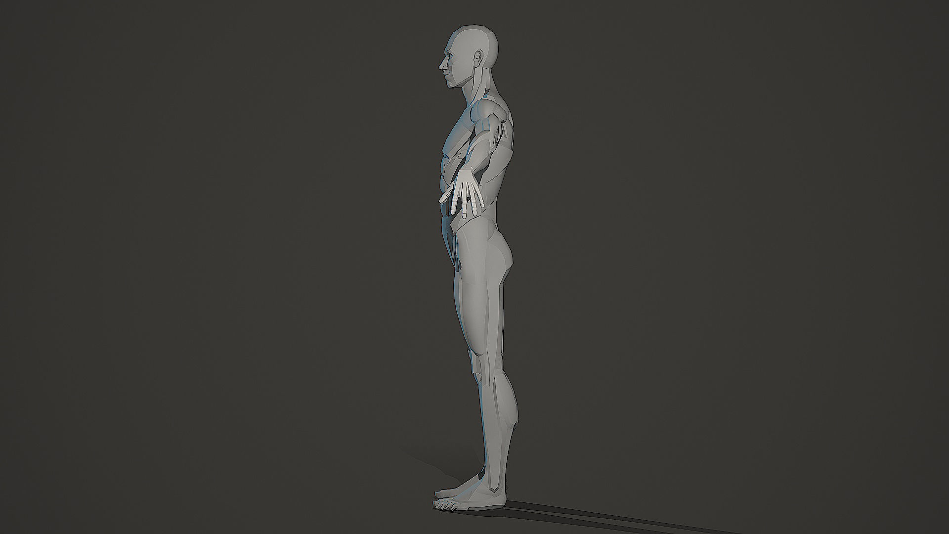 Character - Male Planar Anatomy Body Base Low-poly 3D model_8