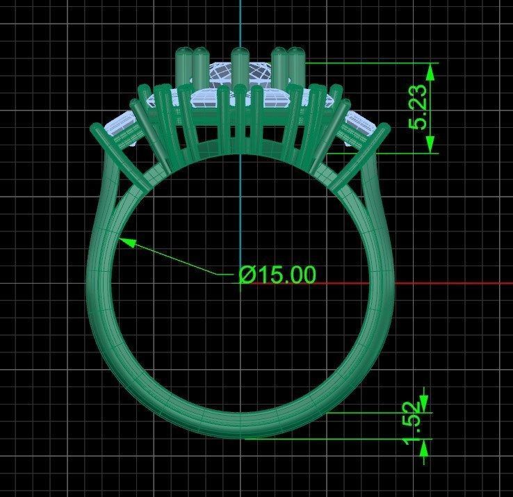 Ring bi 68 3D print model_7