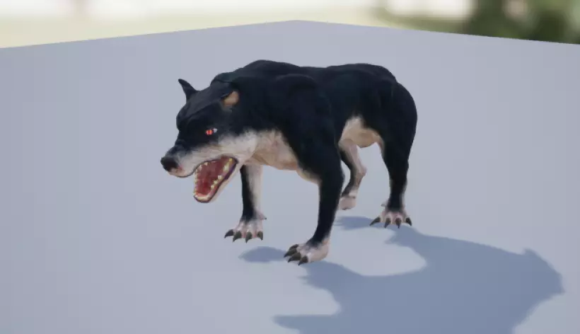 Animals Low-poly 3D model_0