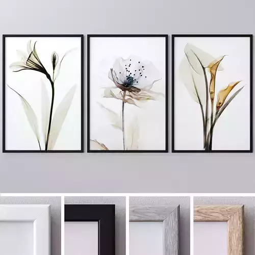Photo Frames Set  09