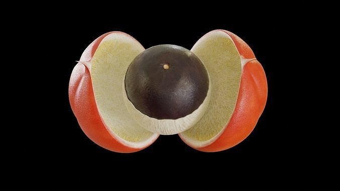 Guarana fruit 3D model 5
