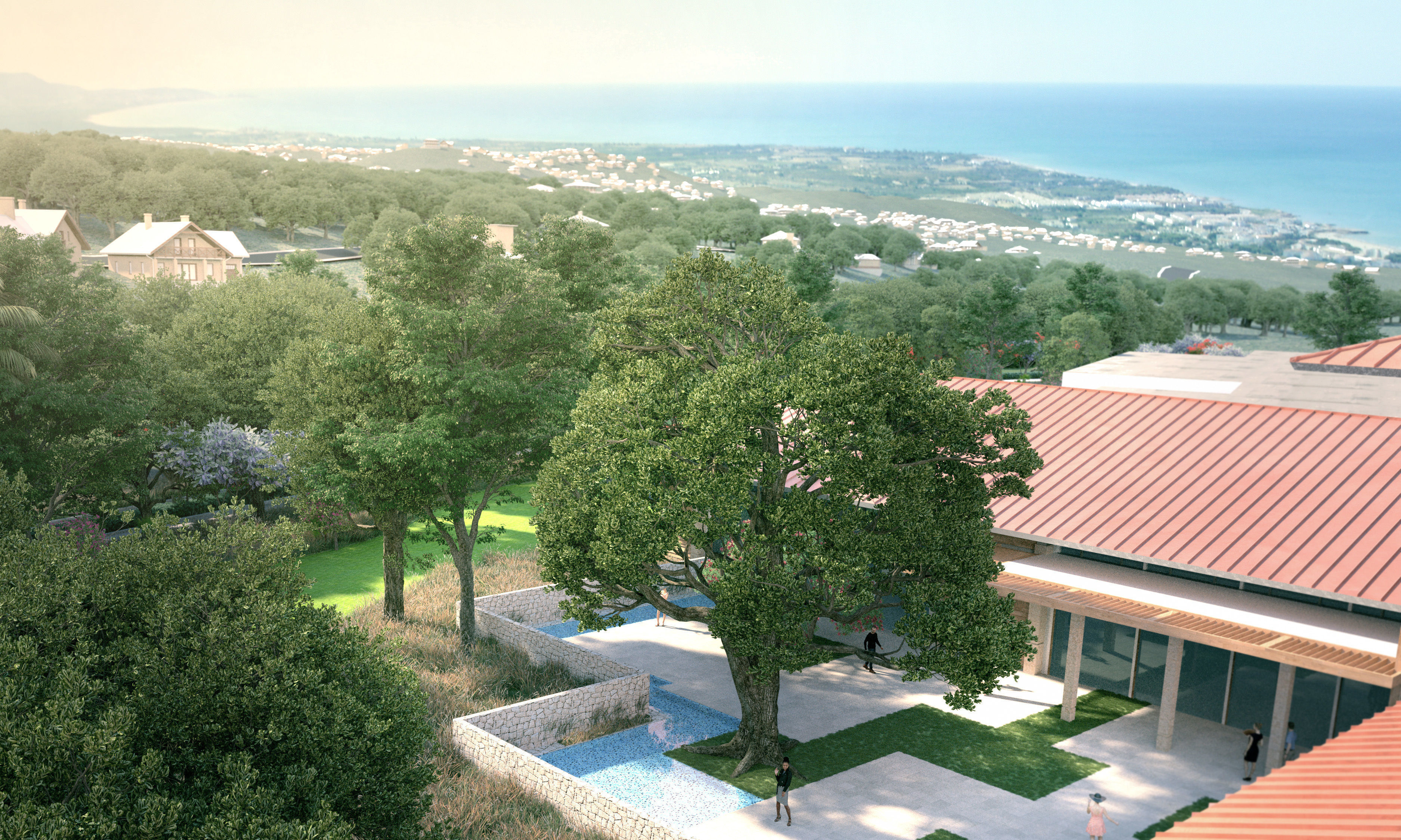 Coast live oak quercus agrifolia c 3D model_3