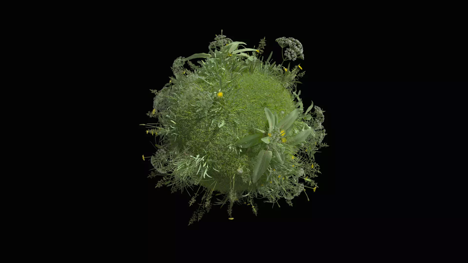 Add blender to herbs Low-poly 3D model