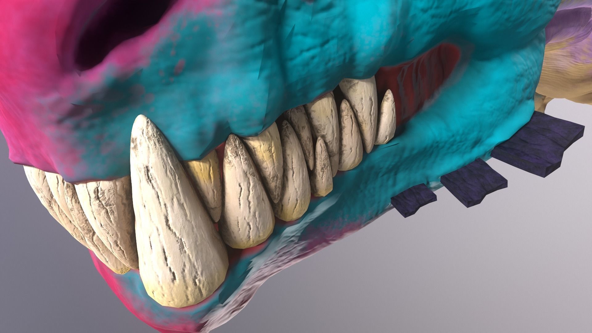 Stylize Dragon  Low-poly 3D model_10