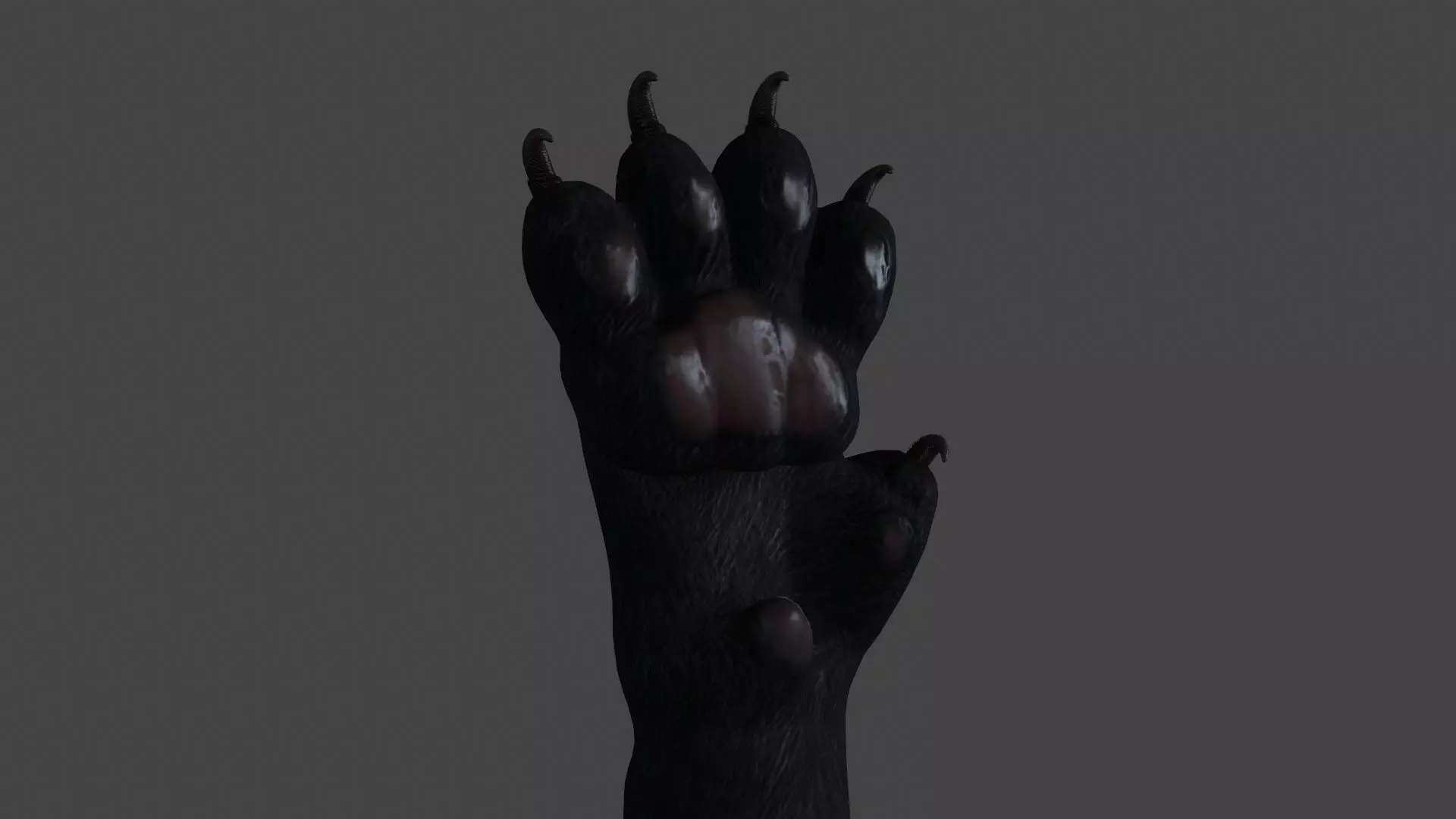 HAND-023 Cat Low-poly 3D model_0