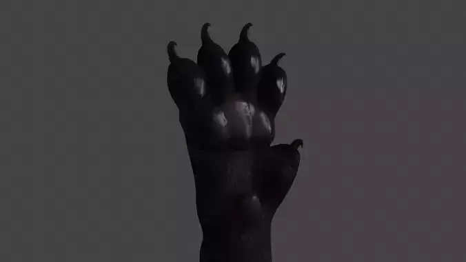 HAND-023 Cat