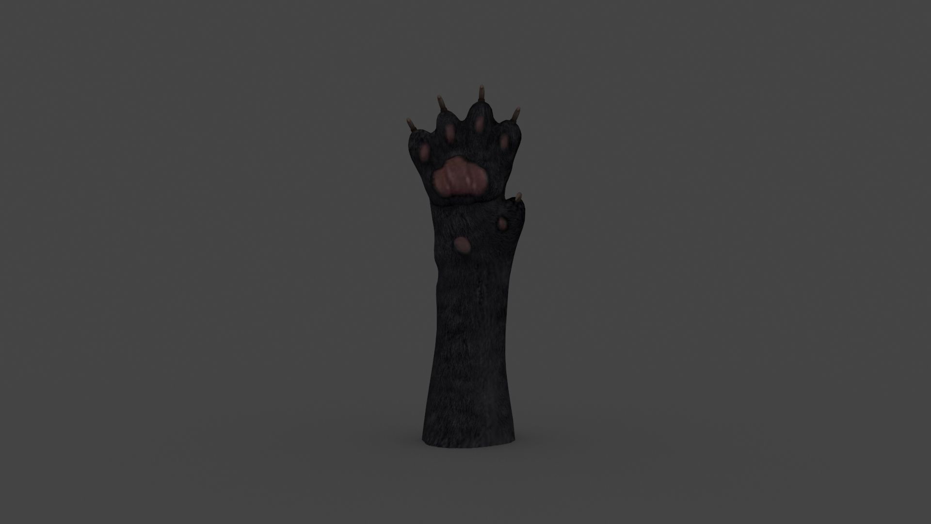 HAND-023 Cat Low-poly 3D model_3