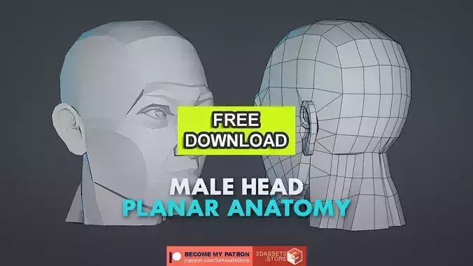 Character - Male Head Planar Anatomy Body Base