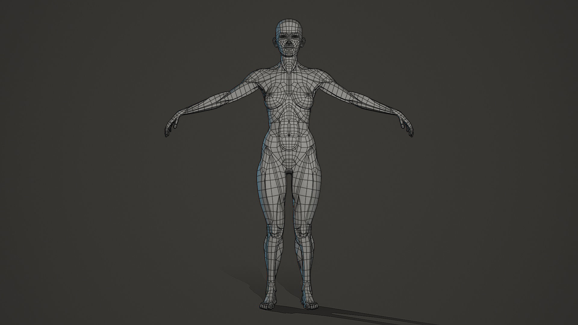 Character - Female Planar Anatomy Body Base Low-poly 3D model_2