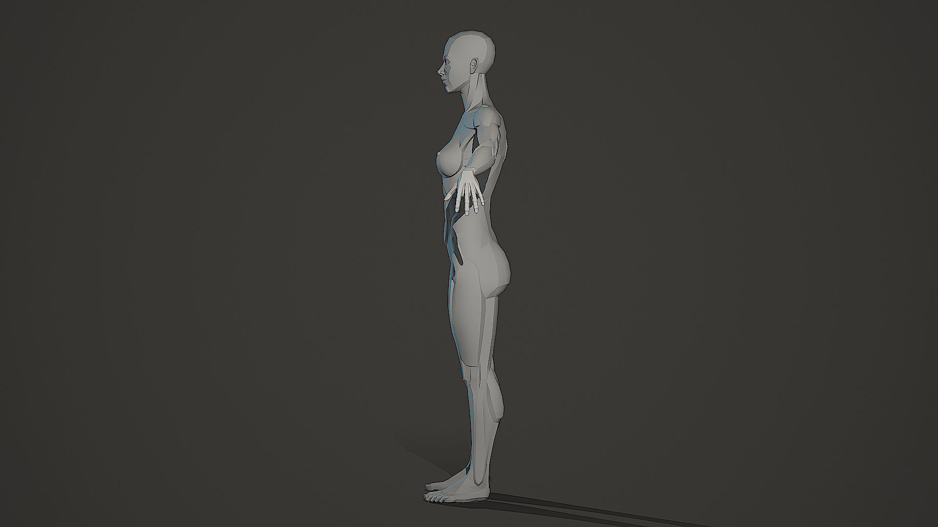 Character - Female Planar Anatomy Body Base Low-poly 3D model_16