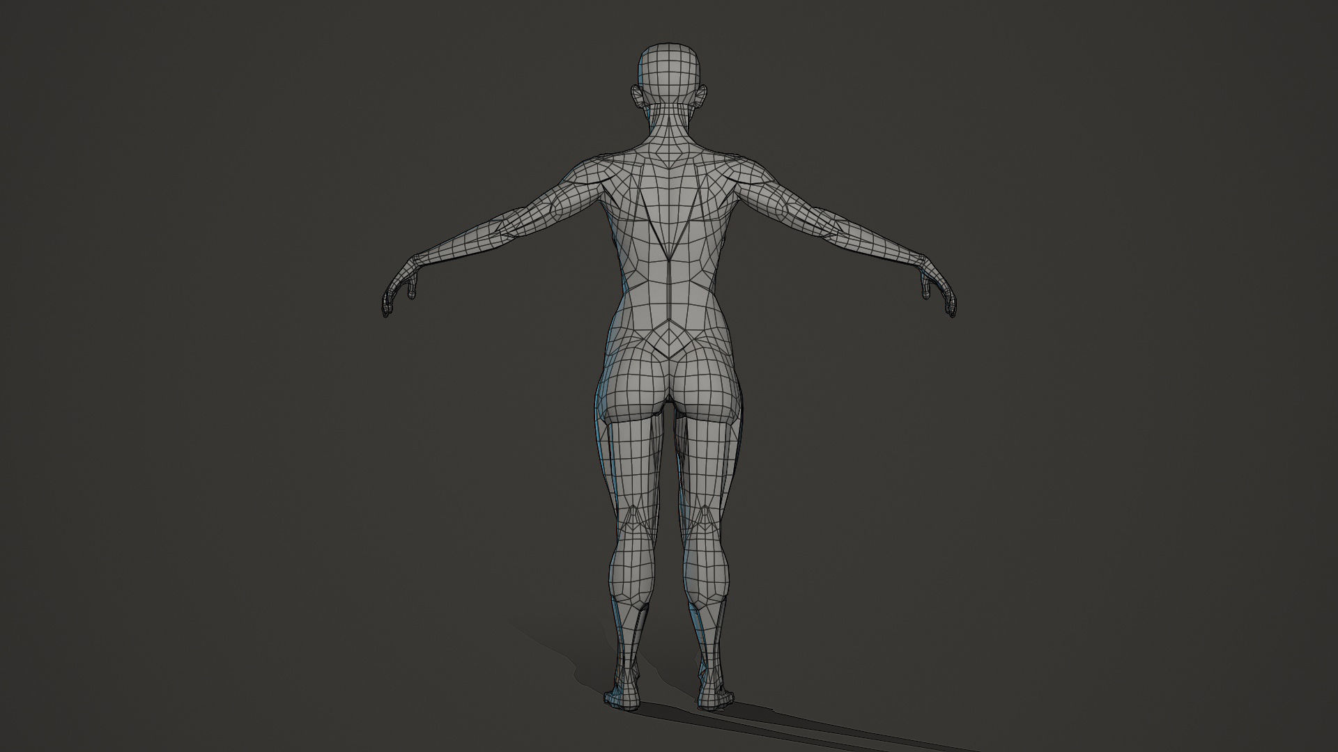 Character - Female Planar Anatomy Body Base Low-poly 3D model_6