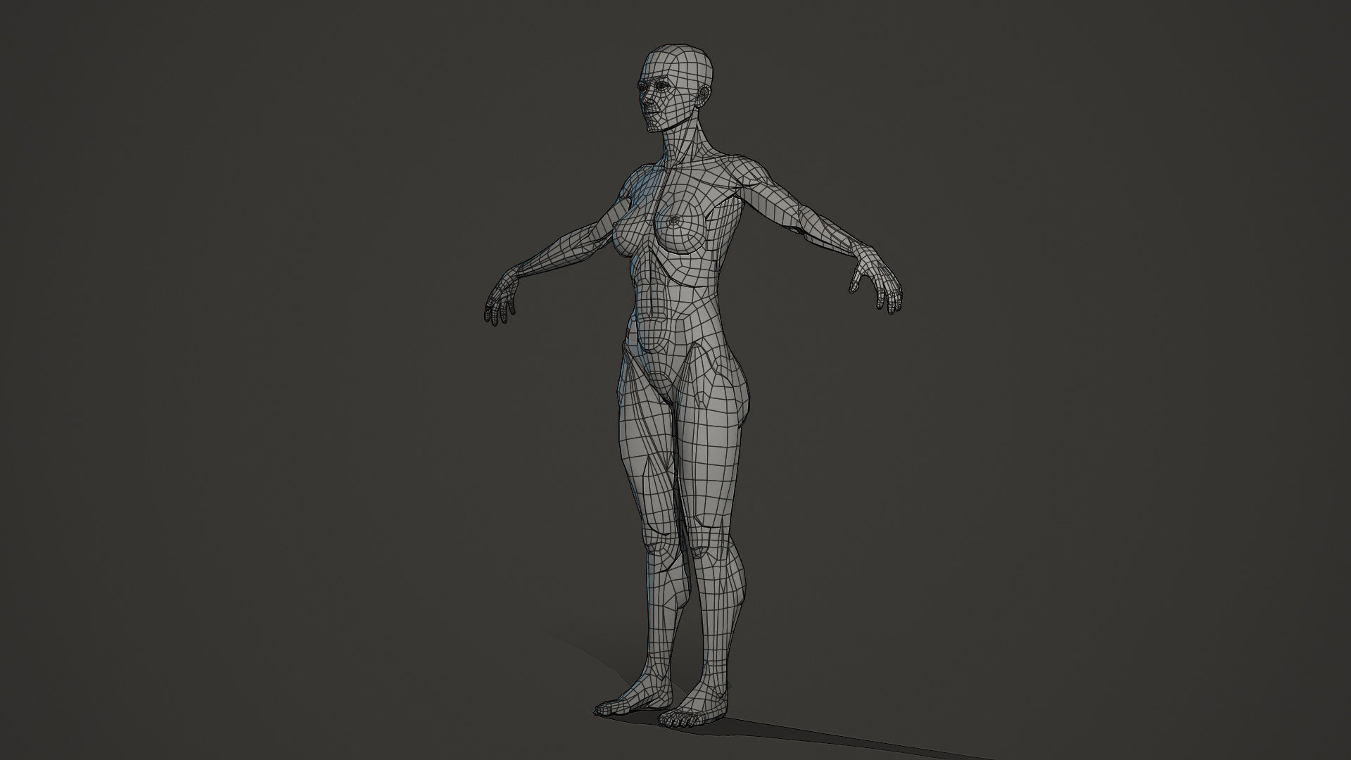 Character - Female Planar Anatomy Body Base Low-poly 3D model_9