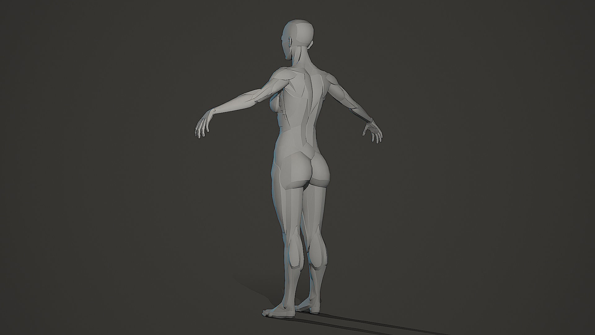 Character - Female Planar Anatomy Body Base Low-poly 3D model_15