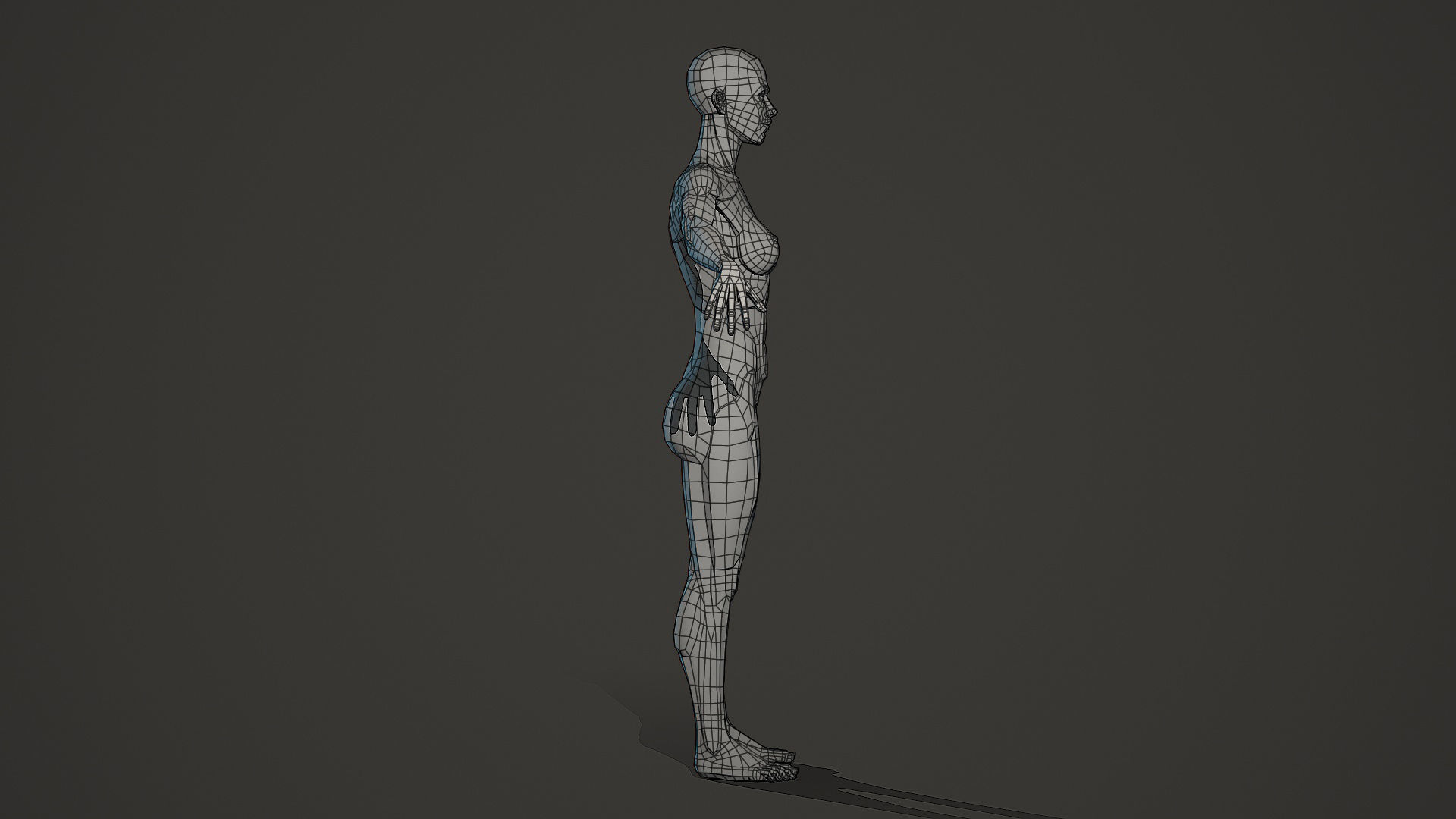 Character - Female Planar Anatomy Body Base Low-poly 3D model_4