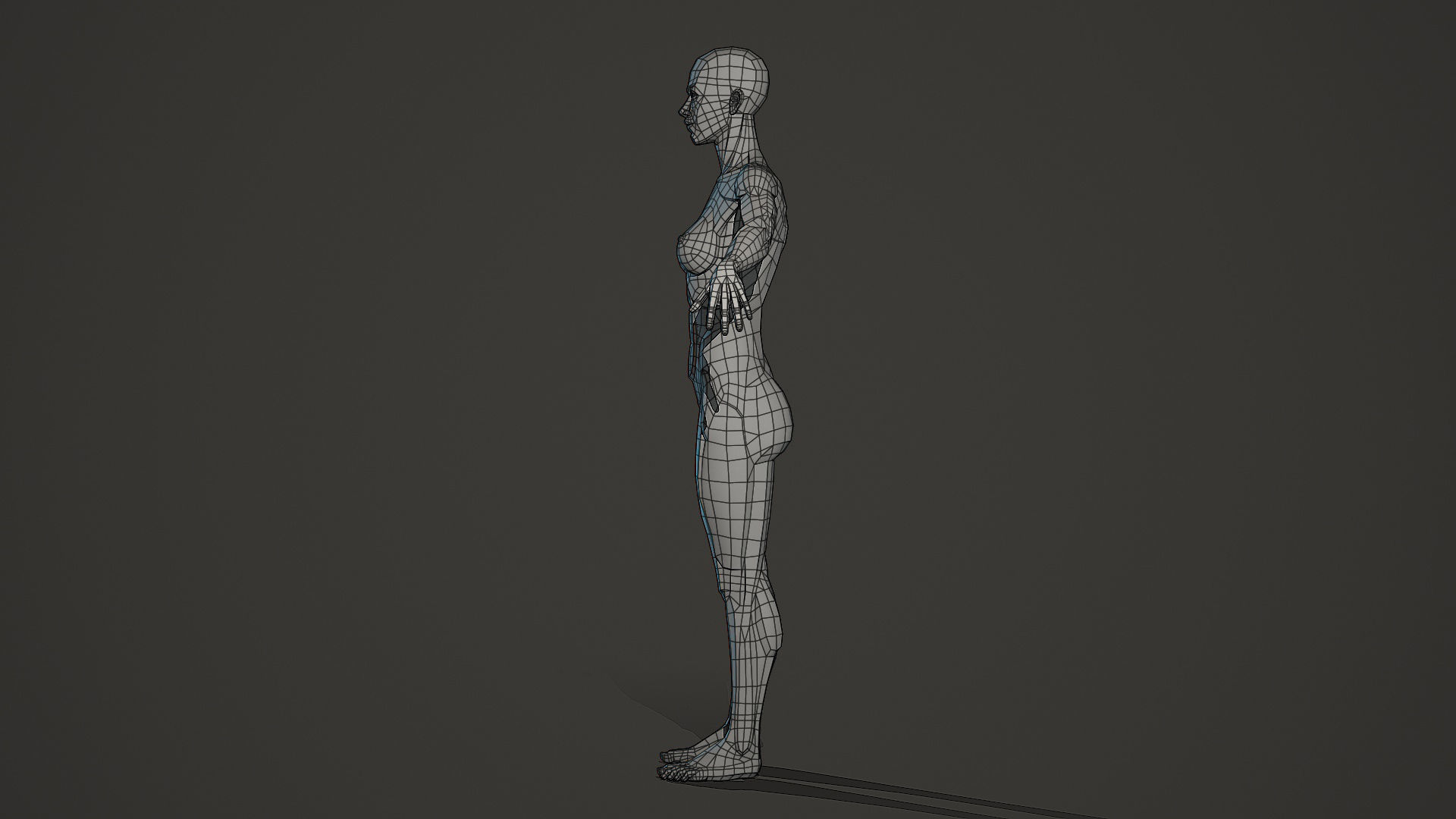 Character - Female Planar Anatomy Body Base Low-poly 3D model_8