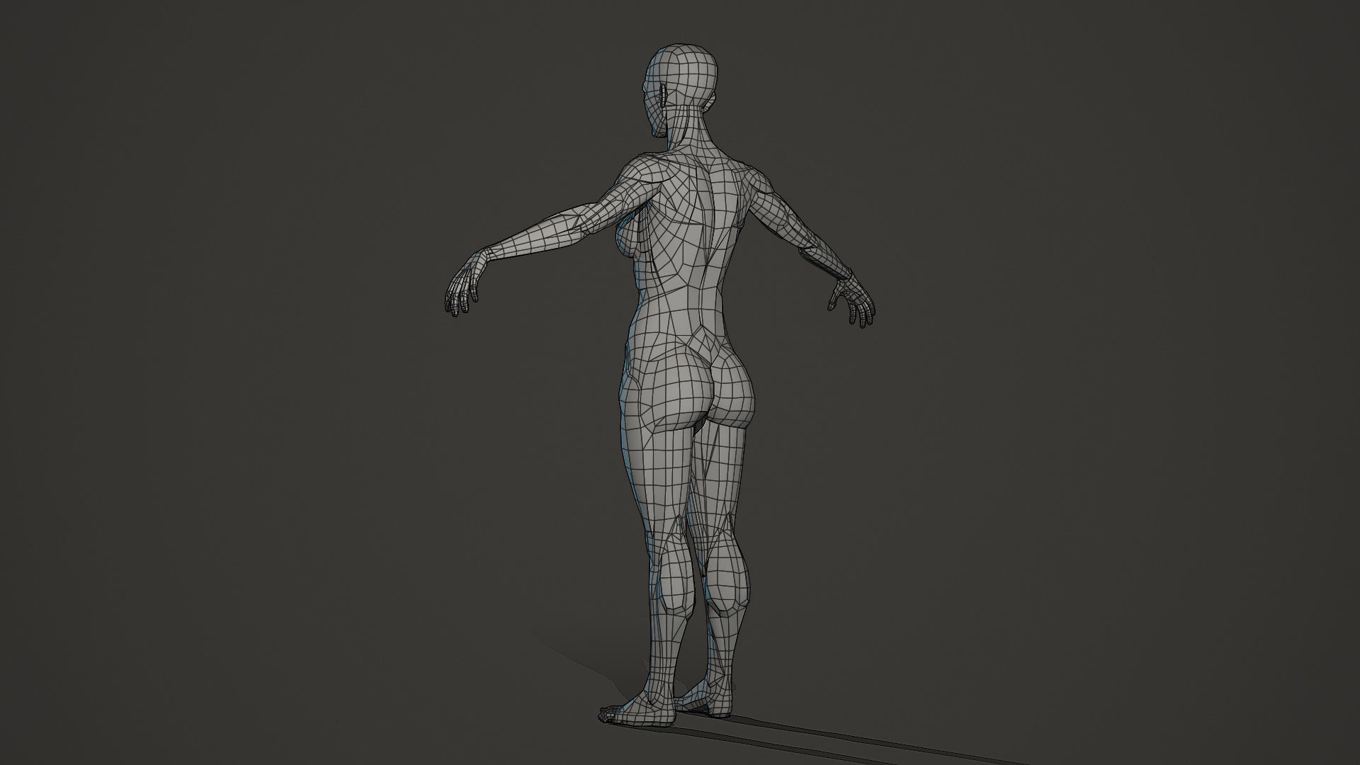 Character - Female Planar Anatomy Body Base Low-poly 3D model_7