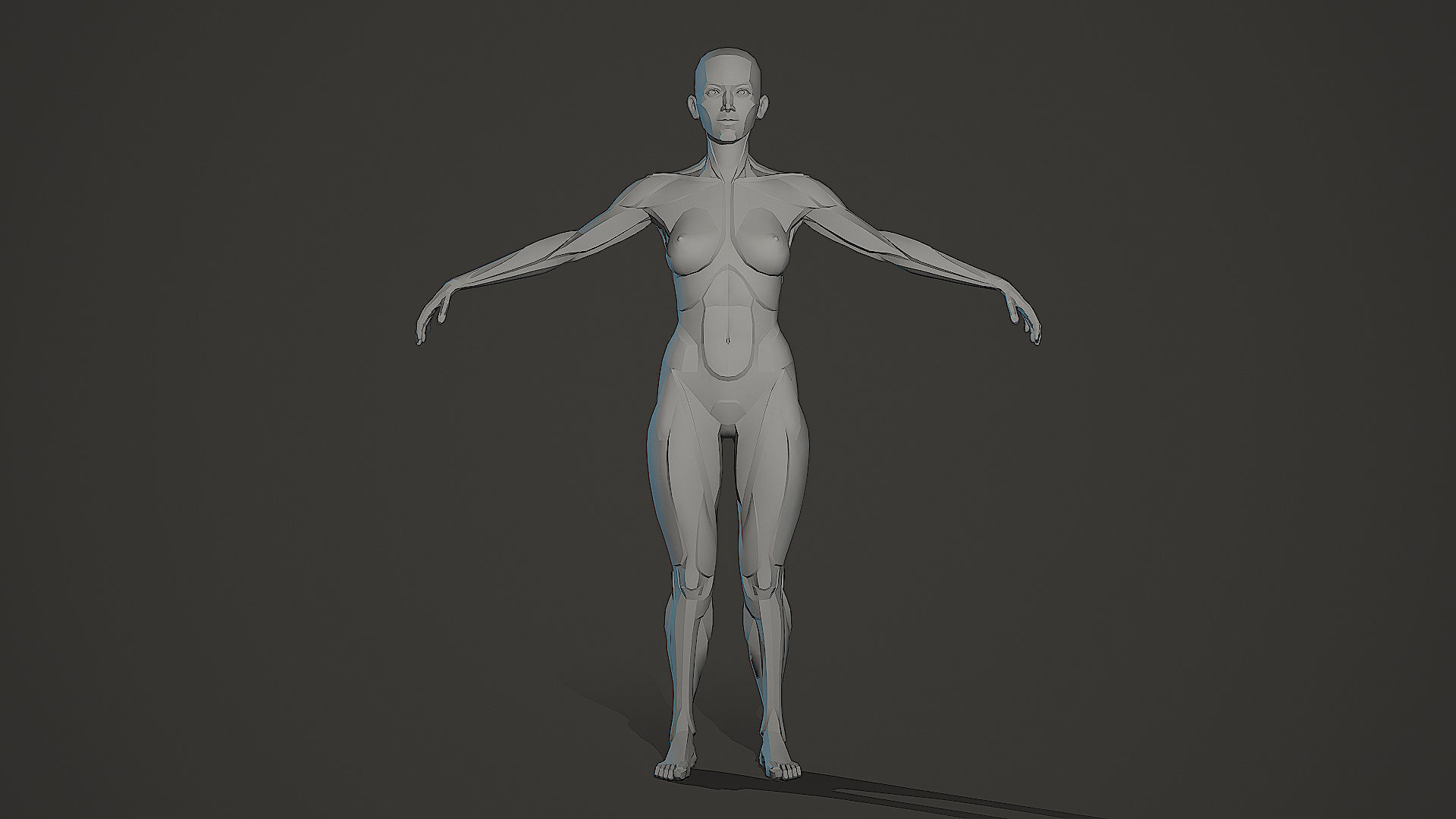 Character - Female Planar Anatomy Body Base Low-poly 3D model_10