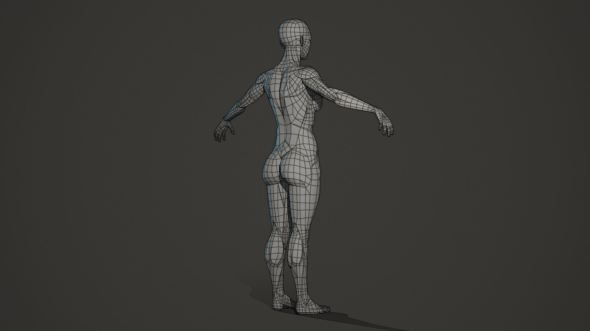 Character - Female Planar Anatomy Body Base Low-poly 3D model_5